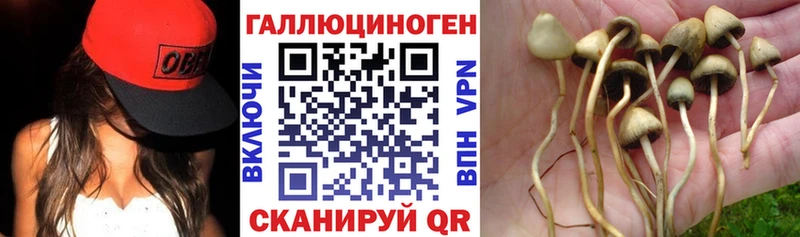 Псилоцибиновые грибы MAGIC MUSHROOMS  Берёзовка 